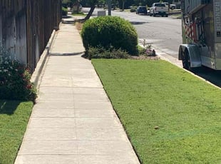 Bush Trimming by Alex Rodriguez for Samantha T. in Fresno, CA
