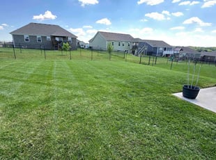 Jessica C.'s Lawn Mowing Service service result