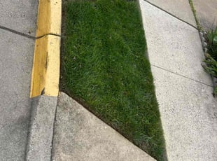 Harry F.'s Lawn Care service result