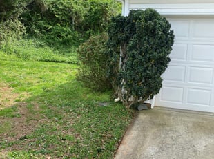 Bush Trimming by Ryan Ross for Wendy L. in Belmont, NC