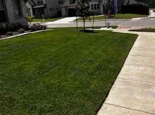 Daran D.'s Grass Cutting service result
