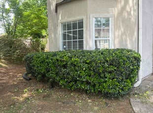 Bush Trimming by Travis Garrett for Keith B. in Austell, GA