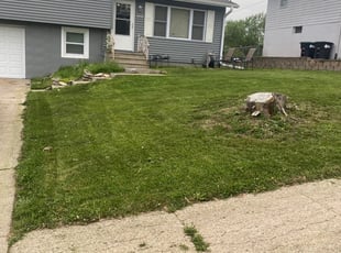 Bush Trimming by Eric DeArmon for Terri T. in Omaha, NE