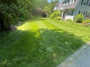 John G.'s Lawn Mowing service result