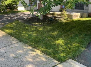Angela P.'s Lawn Service service result