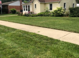 Christopher P.'s Grass Cutting service result