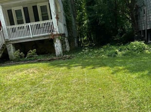 Landscaping by Dimas Lopez for Jonathan T. in Baltimore, MD