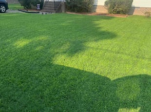 Richard C.'s Lawn Mowing Service service result