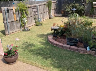 Kale H.'s Lawn Mowing service result