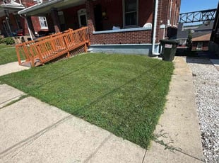 Amie B.'s Lawn Mowing service result