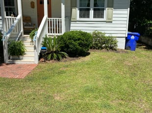 Leaf Removal by William Sellers for Zac S. in Charleston, SC