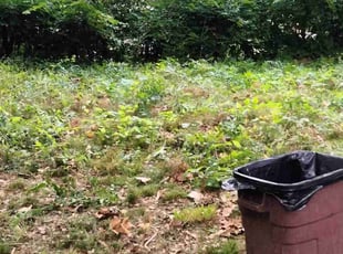 Cleanups by Ronald Bell for Lucas L. in Kansas City, MO