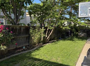 Beverly C.'s Lawn Care service result