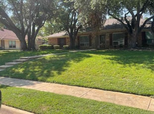 Karla I.'s Yard Cutting service result