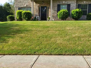 Tiara G.'s Lawn Mowing service result
