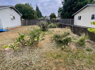 Cleanups by Edgar Flores Ceja for Claudia B. in McMinnville, OR