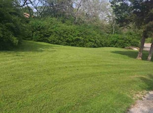 Nancy C.'s Lawn Mowing service result