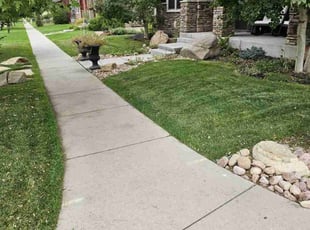 Melecio L.'s Lawn Care service result