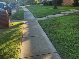 Jennifer O.'s Yard Cutting service result