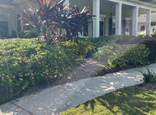 Bush Trimming by Leeandra Terry for Amber W. in Tampa, FL
