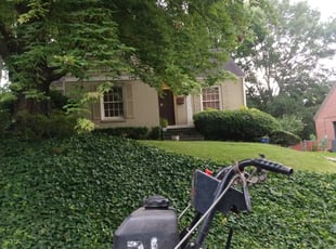 Bush Trimming by Gerald Oyerindr for Andy M. in Atlanta, GA