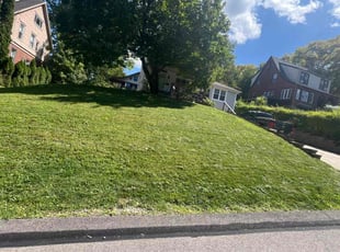 Kyle K.'s Lawn Mowing Service service result