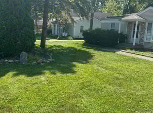 Dominic R.'s Lawn Service service result