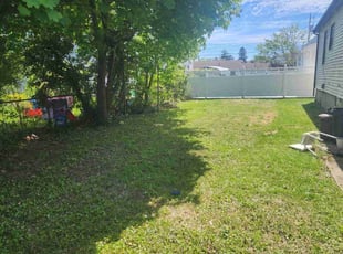 Cleanups by Dorothy Lecomte for Peter F. in New Bedford, MA