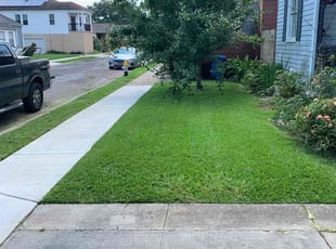 Roxanne S.'s Lawn Care service result