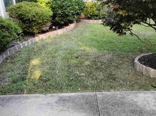 Vicki D.'s Lawn Mowing service result