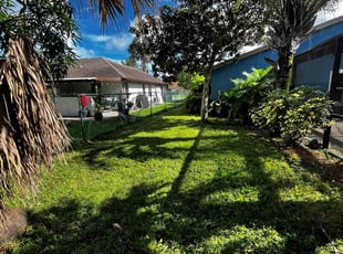 Sabrina S.'s Lawn Mowing service result