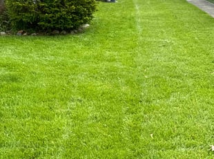 Katherine S.'s Lawn Mowing service result