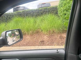 Weeding by Landon Millett for Brittany T. in Nashville, TN