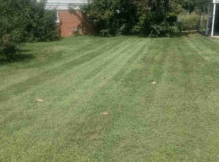 Kate M.'s Lawn Maintenance service result