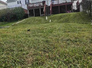 Eric K.'s Lawn Mowing service result