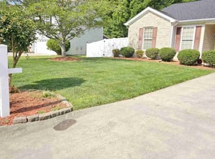 Robin C.'s Lawn Mowing service result