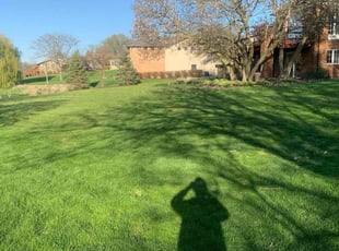 Kevin K.'s Lawn Care service result