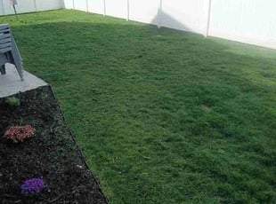 Fermin E.'s Lawn Service service result