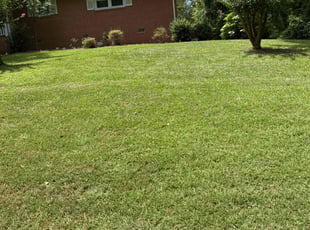 Shane M.'s Lawn Mowing Service service result