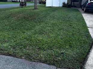 Stacey C.'s Grass Cutting service result