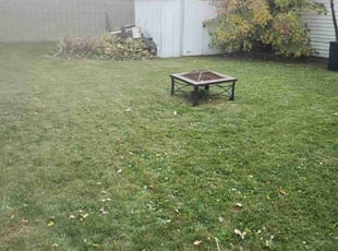 Steven Z.'s Lawn Maintenance service result