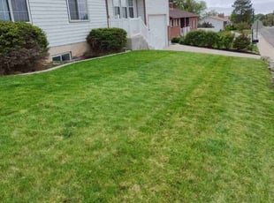Patricia S.'s Lawn Mowing service result