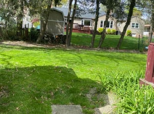 Derrick B.'s Grass Cutting service result