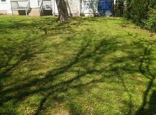 Greg C.'s Lawn Maintenance service result