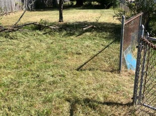 SHERRY C.'s Lawn Maintenance service result