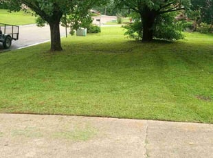 Duane S.'s Lawn Mowing Service service result