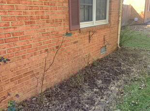 Weeding by Danielle Patterson for Stephanie L. in Chesapeake, VA
