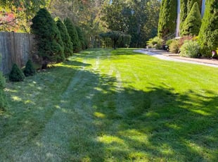 Sarah S.'s Grass Cutting service result
