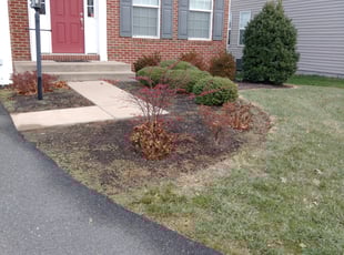 Weeding by Jim Crossett for Pamela S. in Dulles, VA