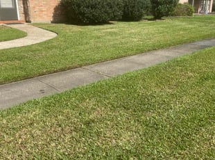 Odinaka E.'s Lawn Maintenance service result